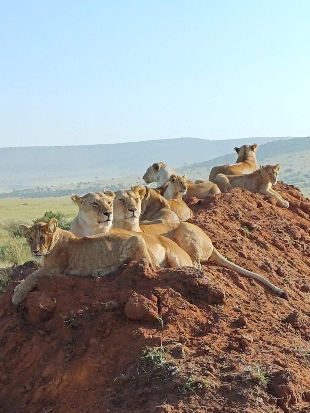 Review photo