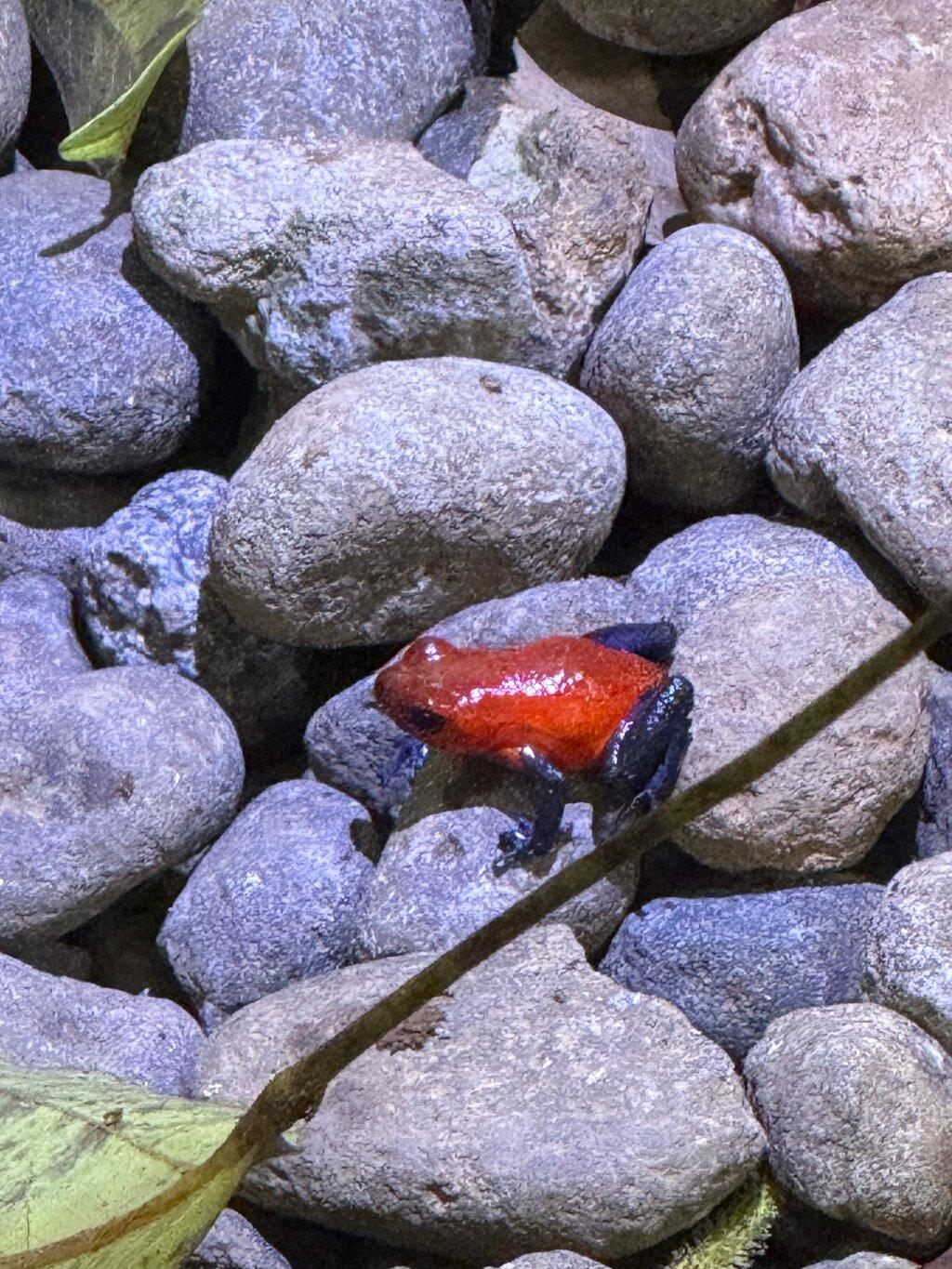 Review photo
