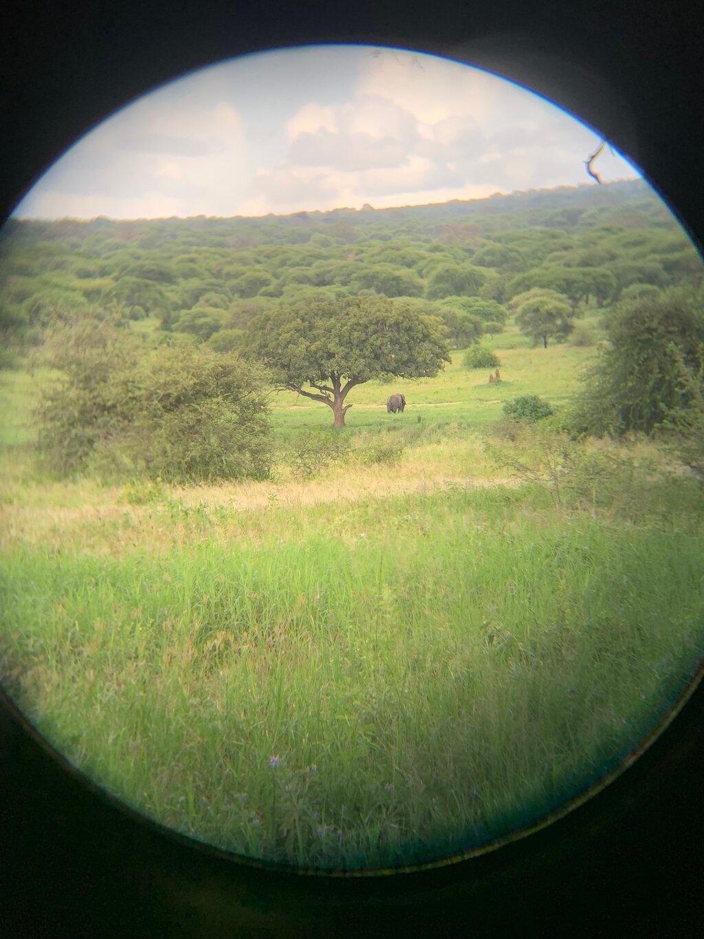 Review photo