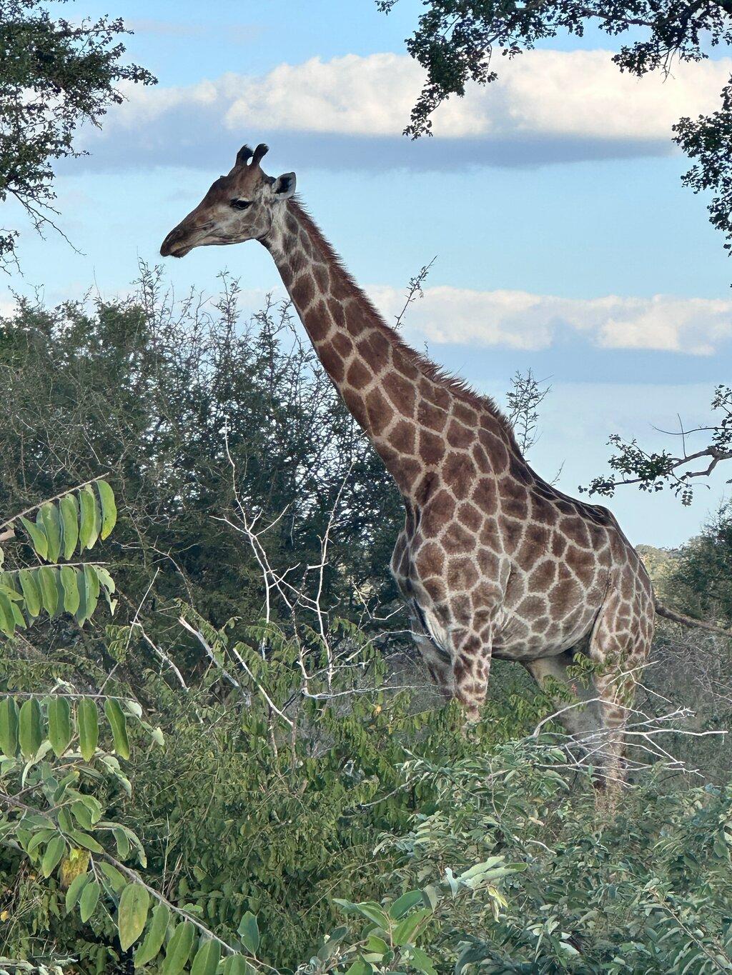 Review photo