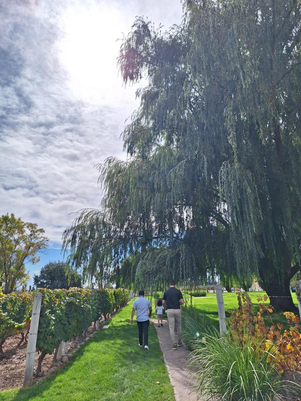 Review photo