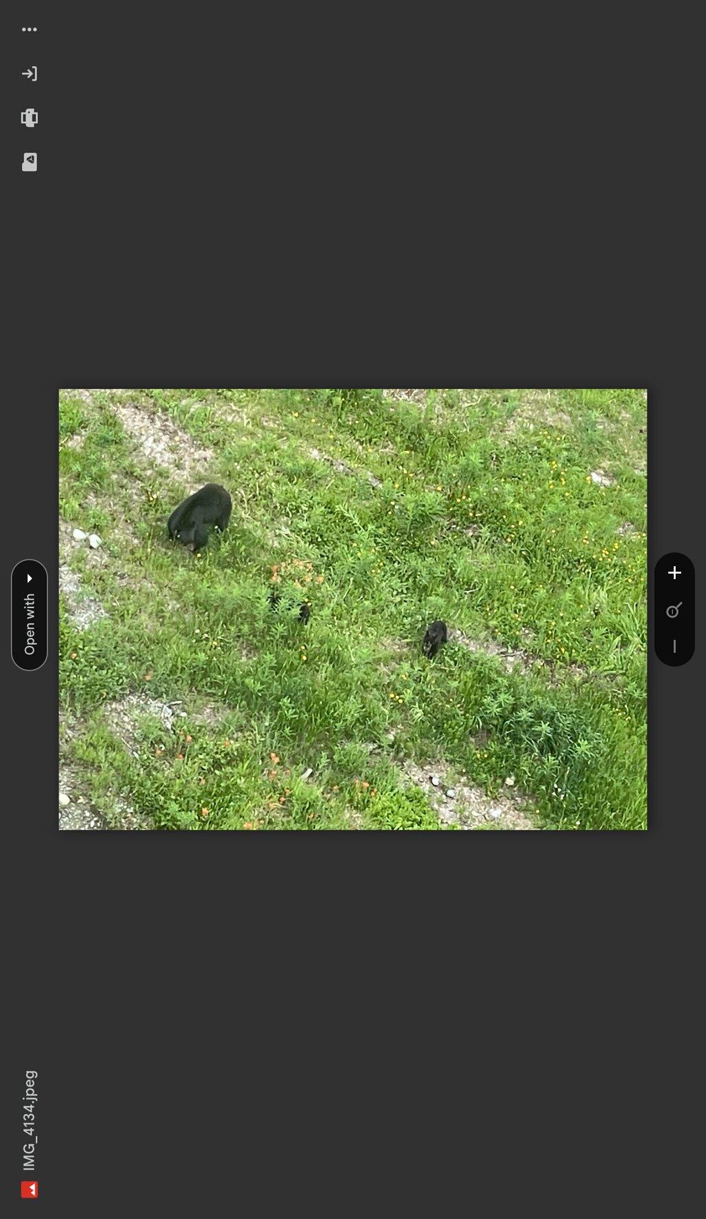 Review photo