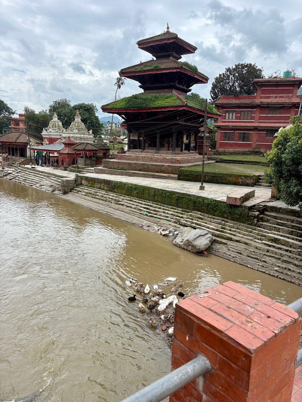 Review photo