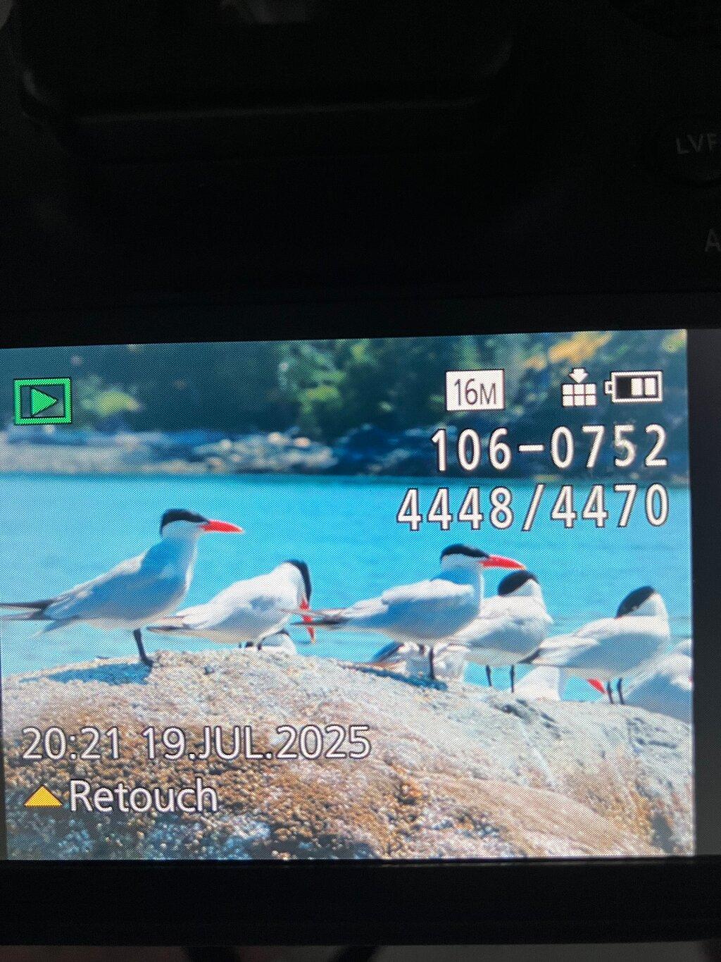 Review photo