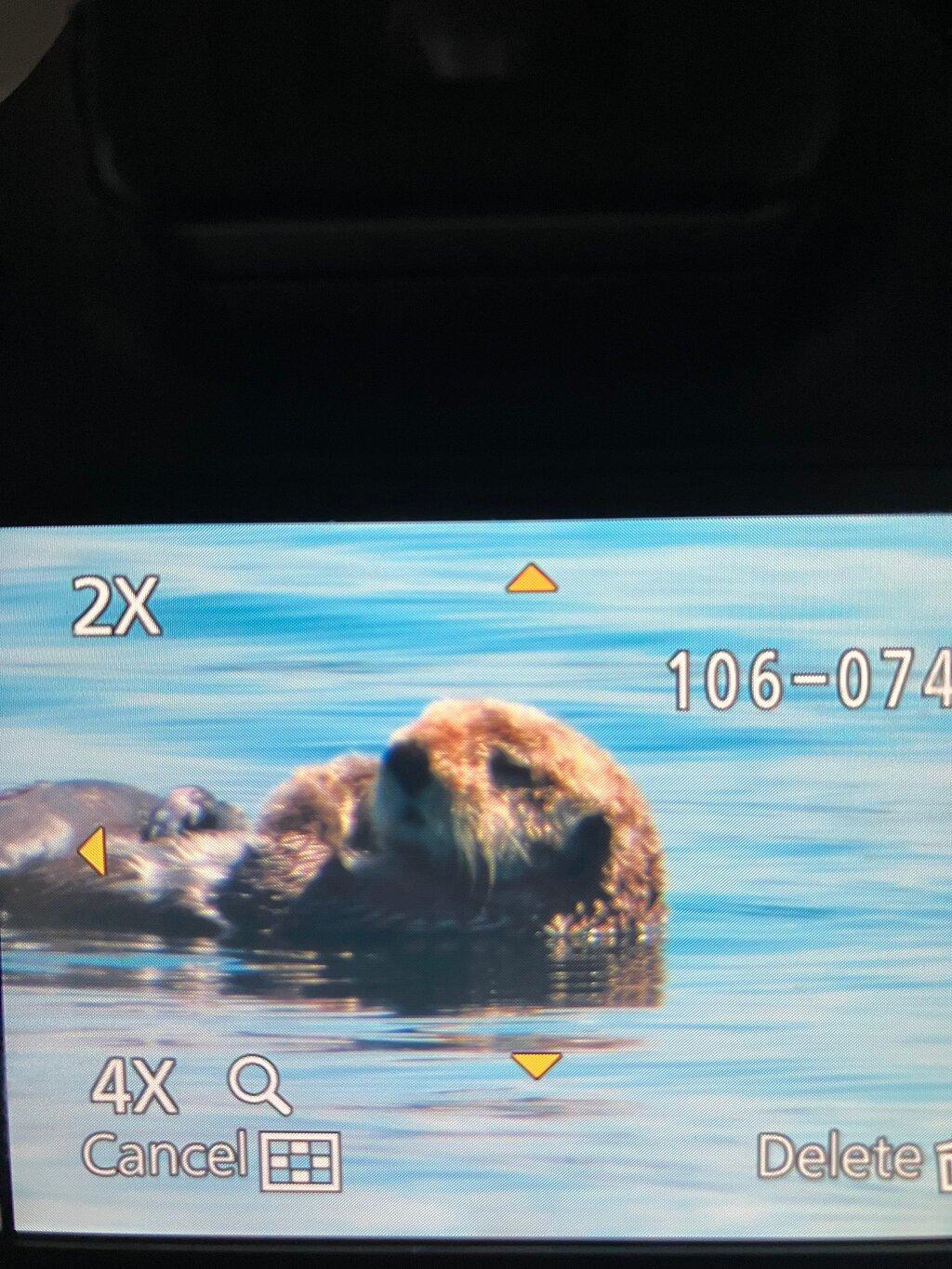 Review photo
