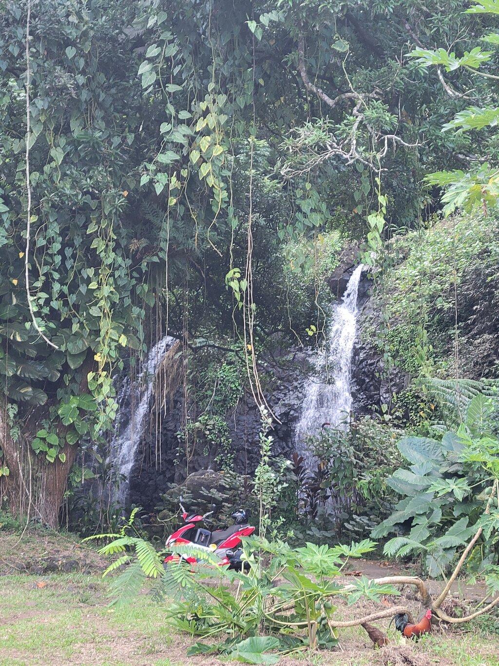 Review photo