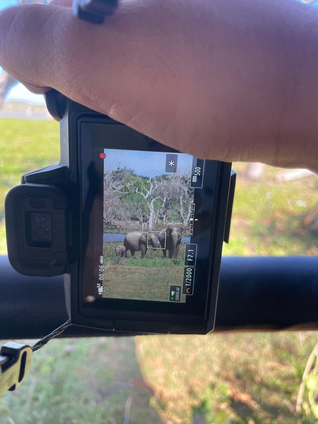Review photo