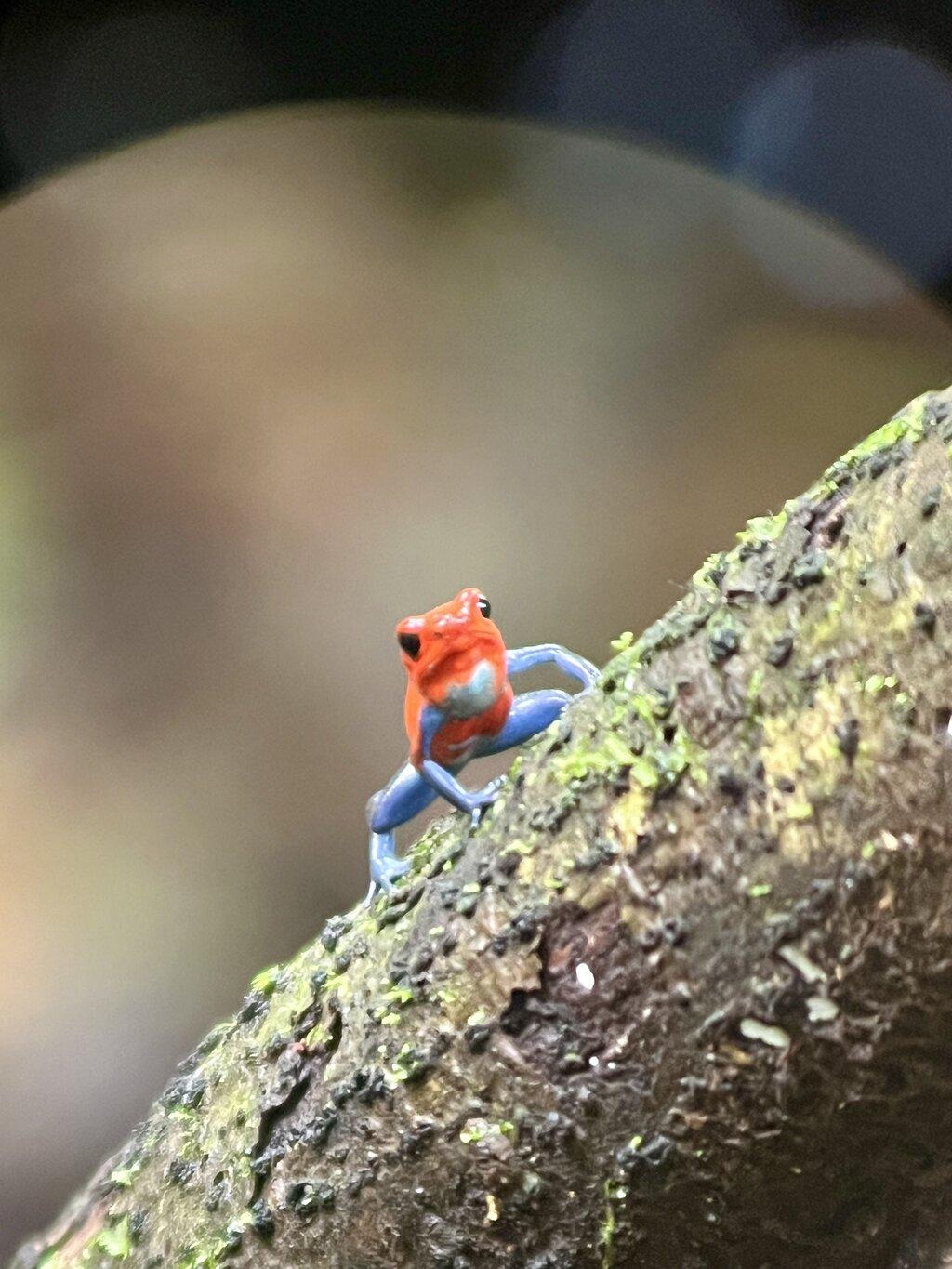 Review photo