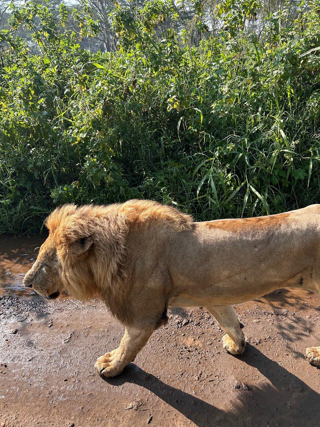 Review photo