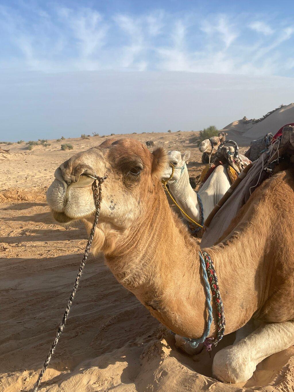 Review photo