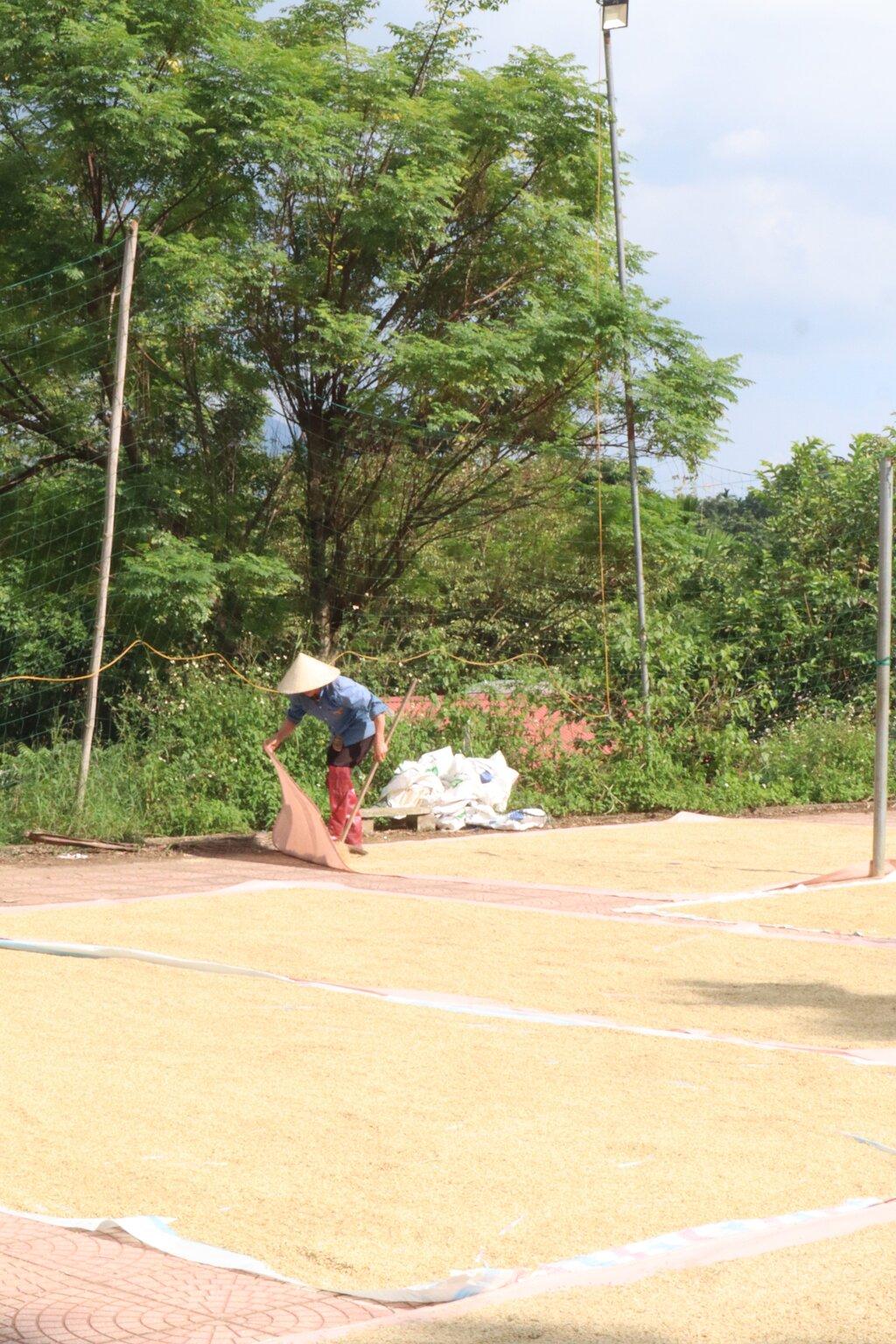 Review photo