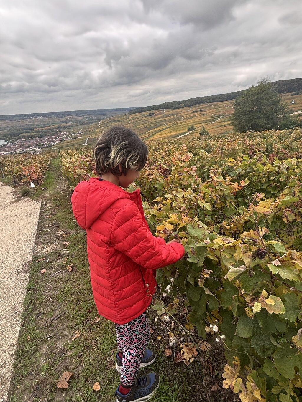 Review photo