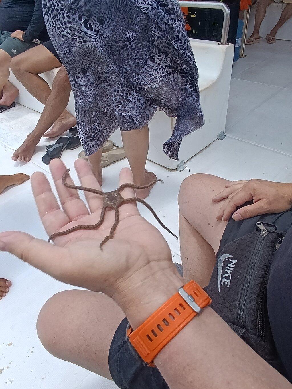 Review photo