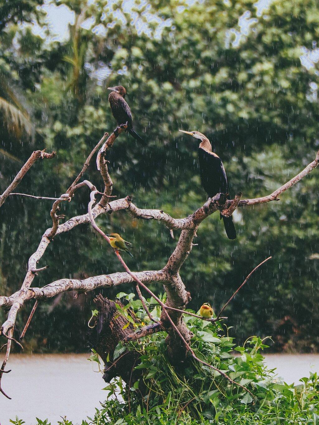 Review photo