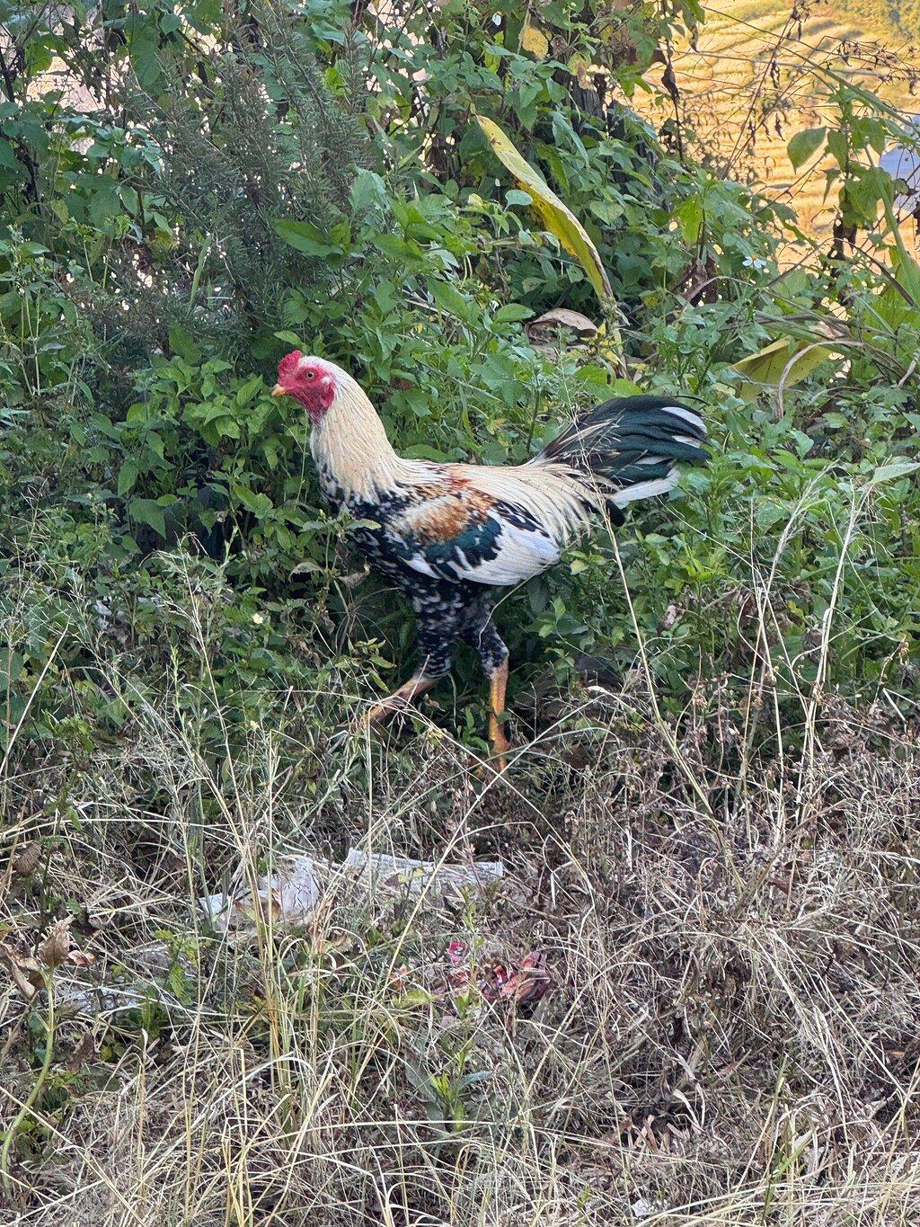 Review photo