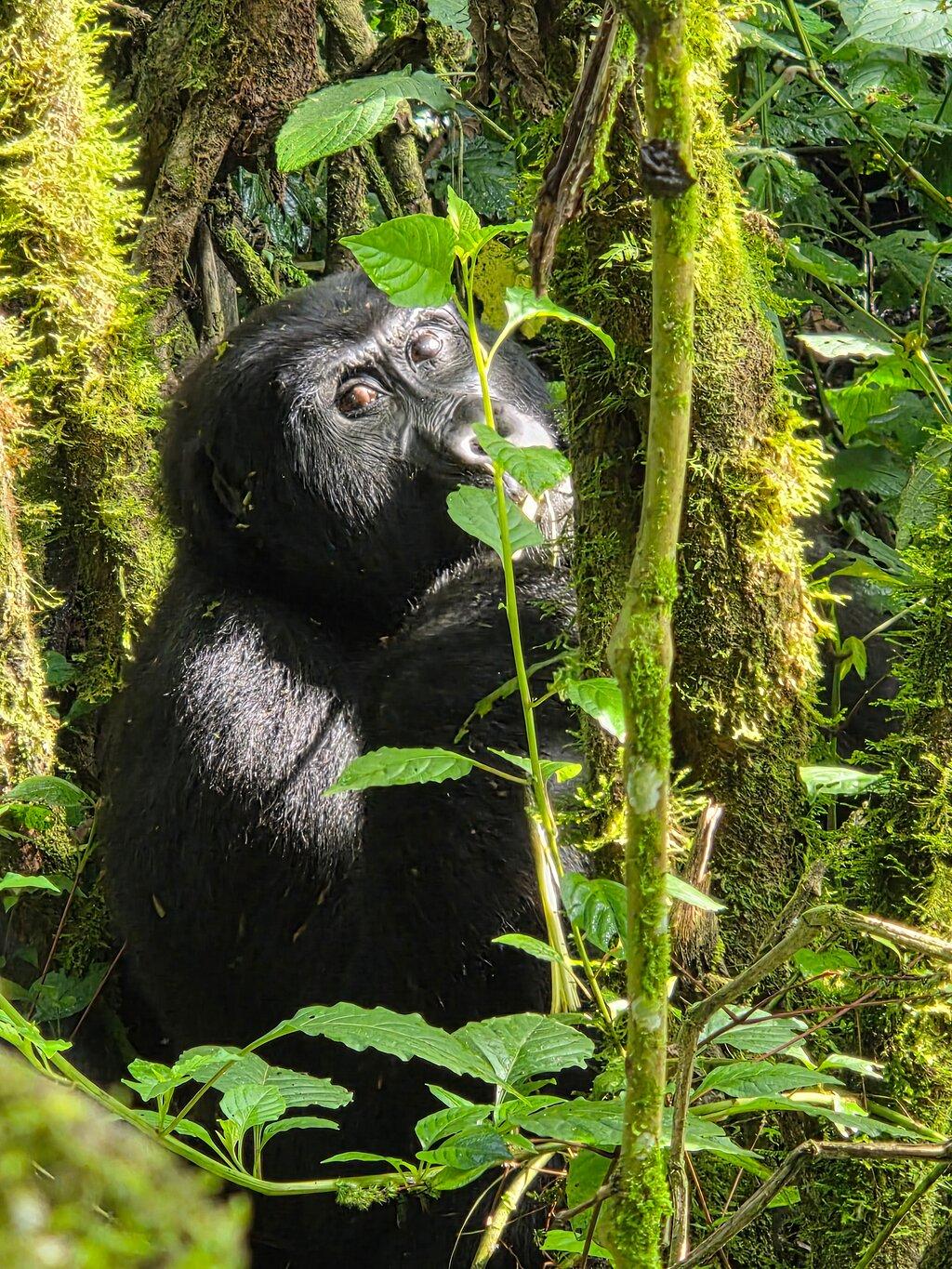 Review photo