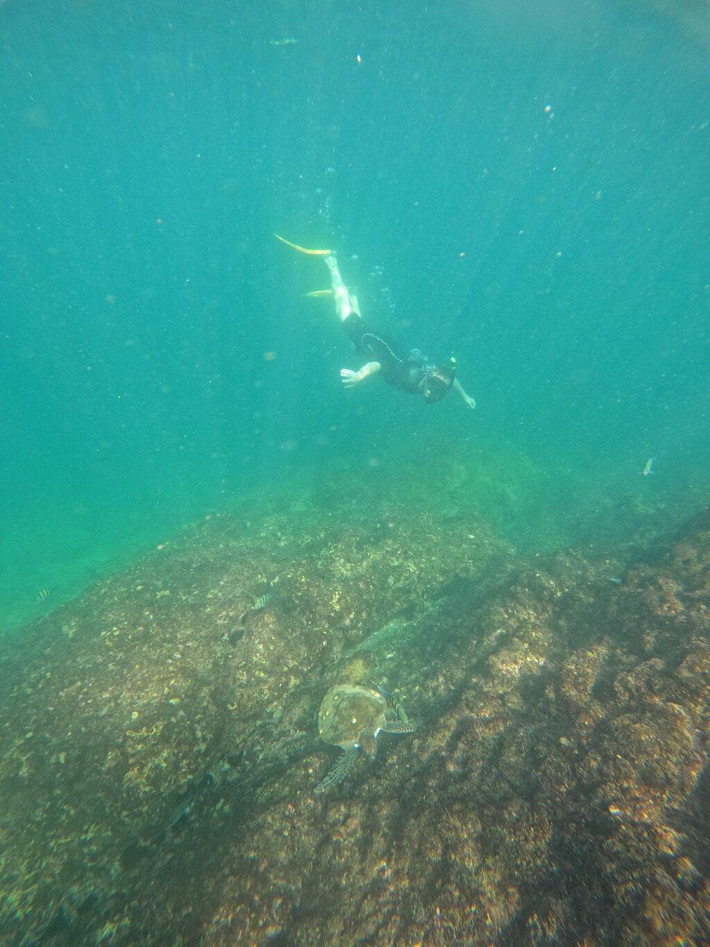 Review photo