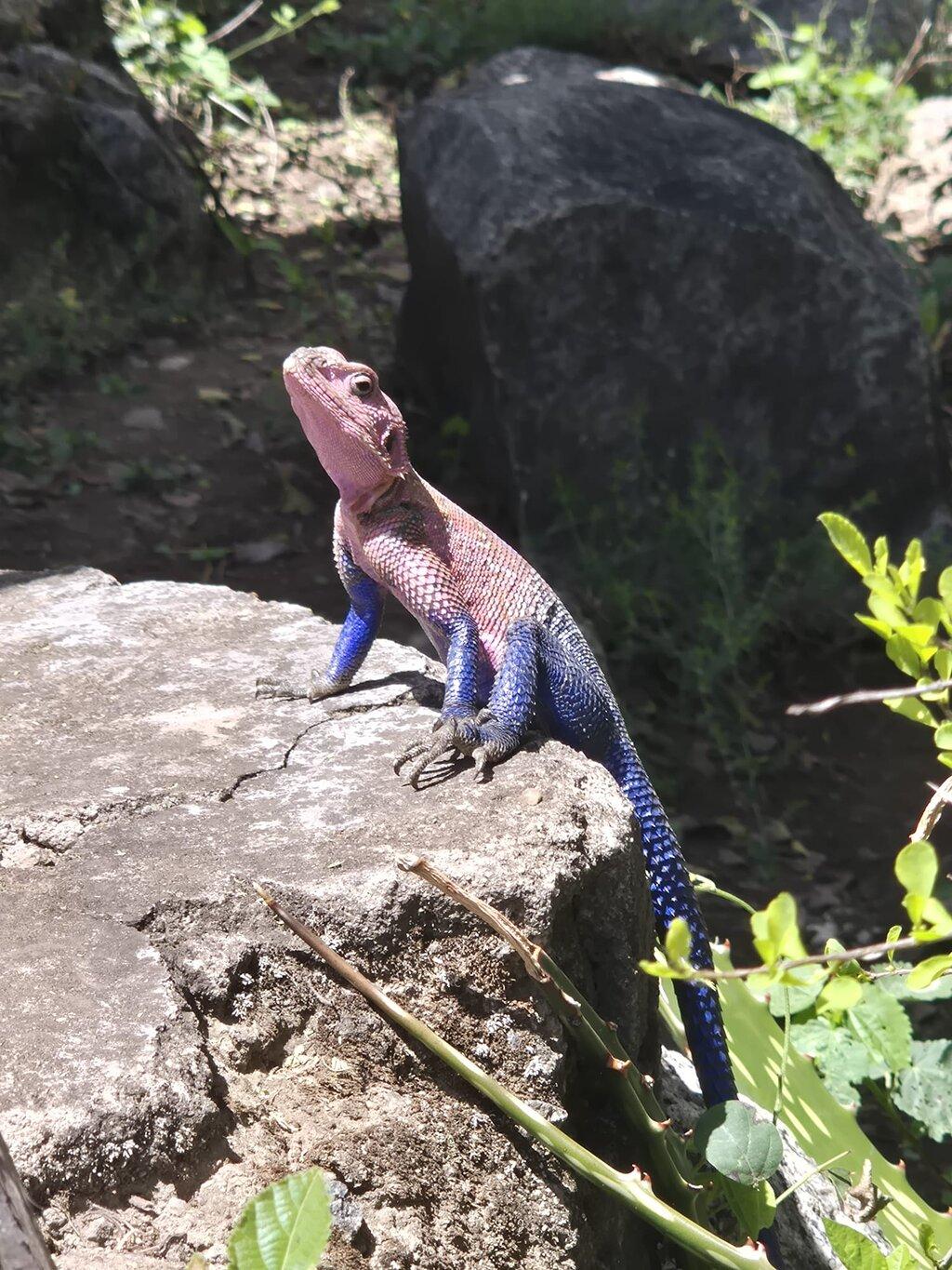 Review photo