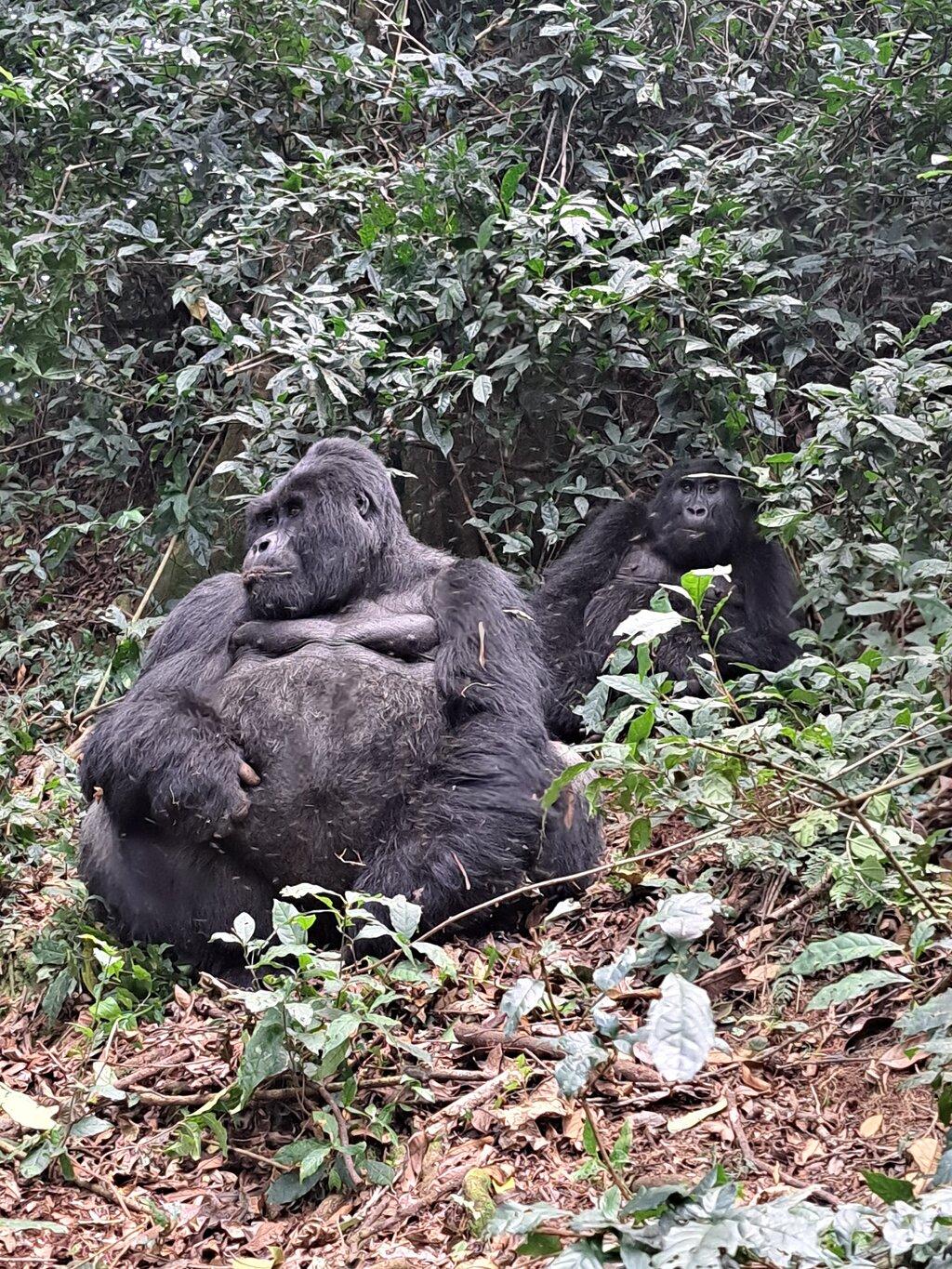 Review photo