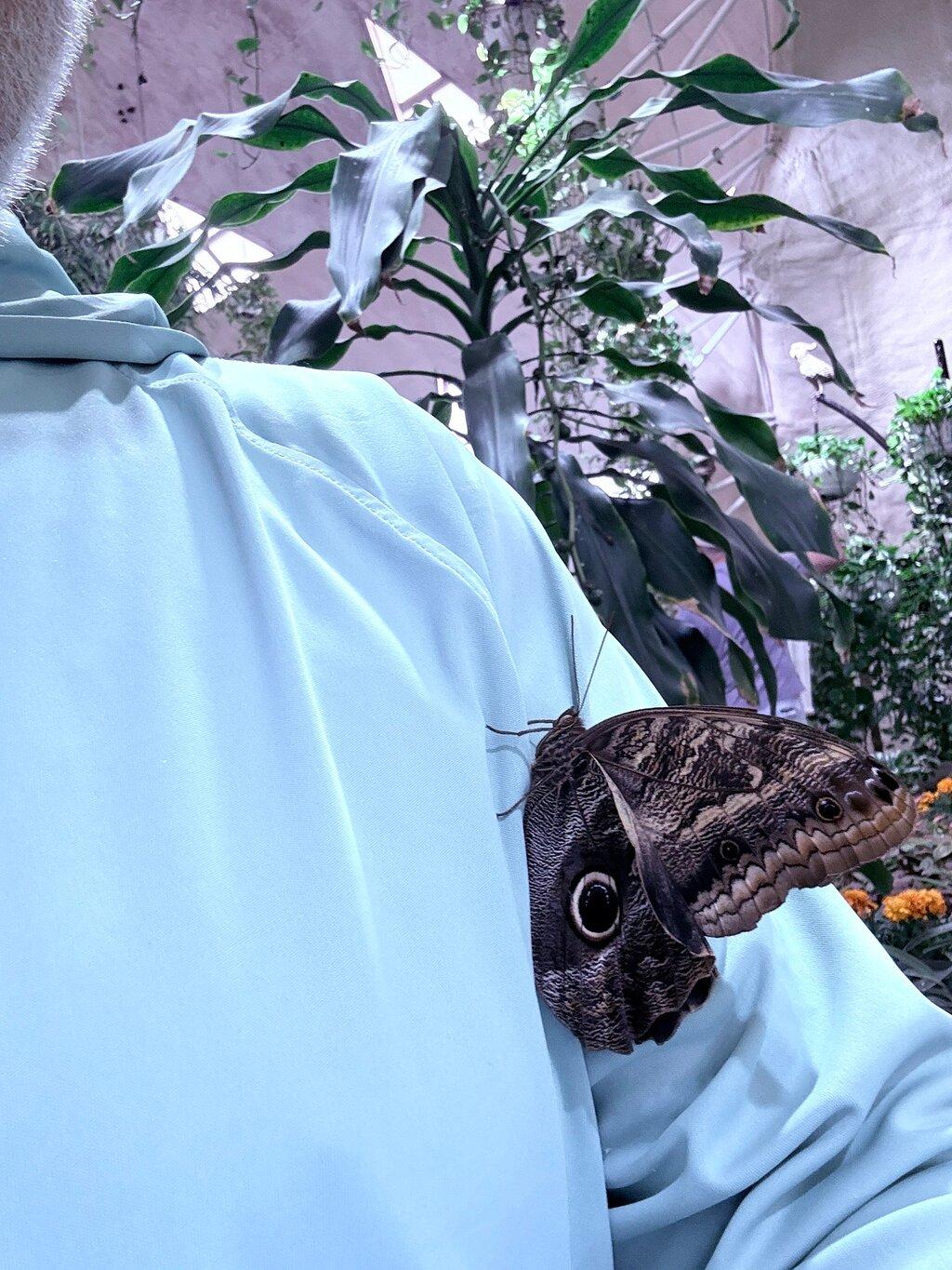 Review photo
