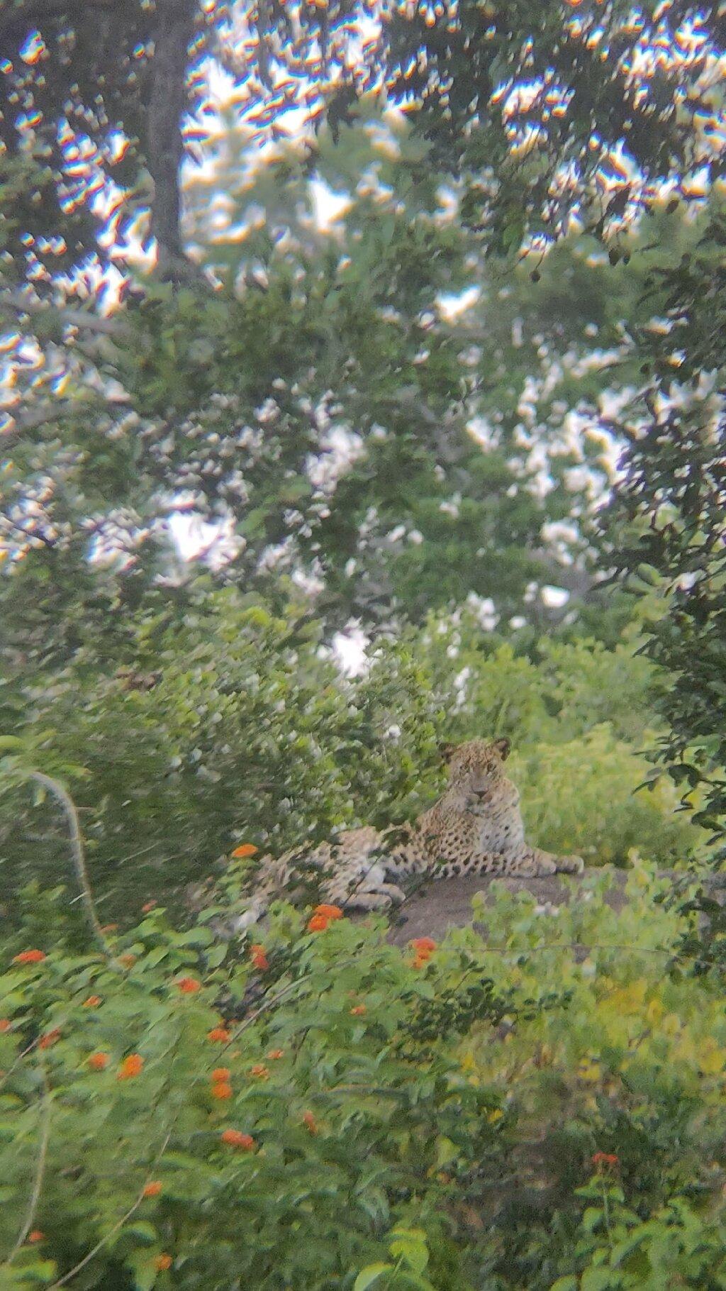 Review photo