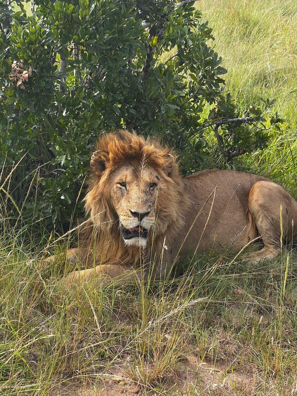Review photo