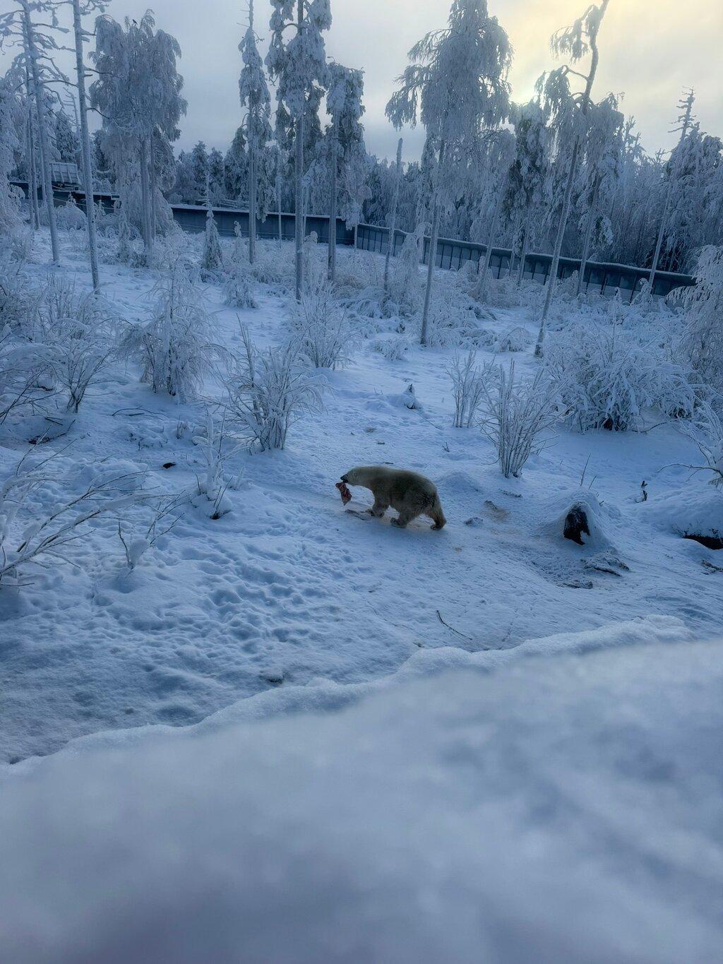 Review photo
