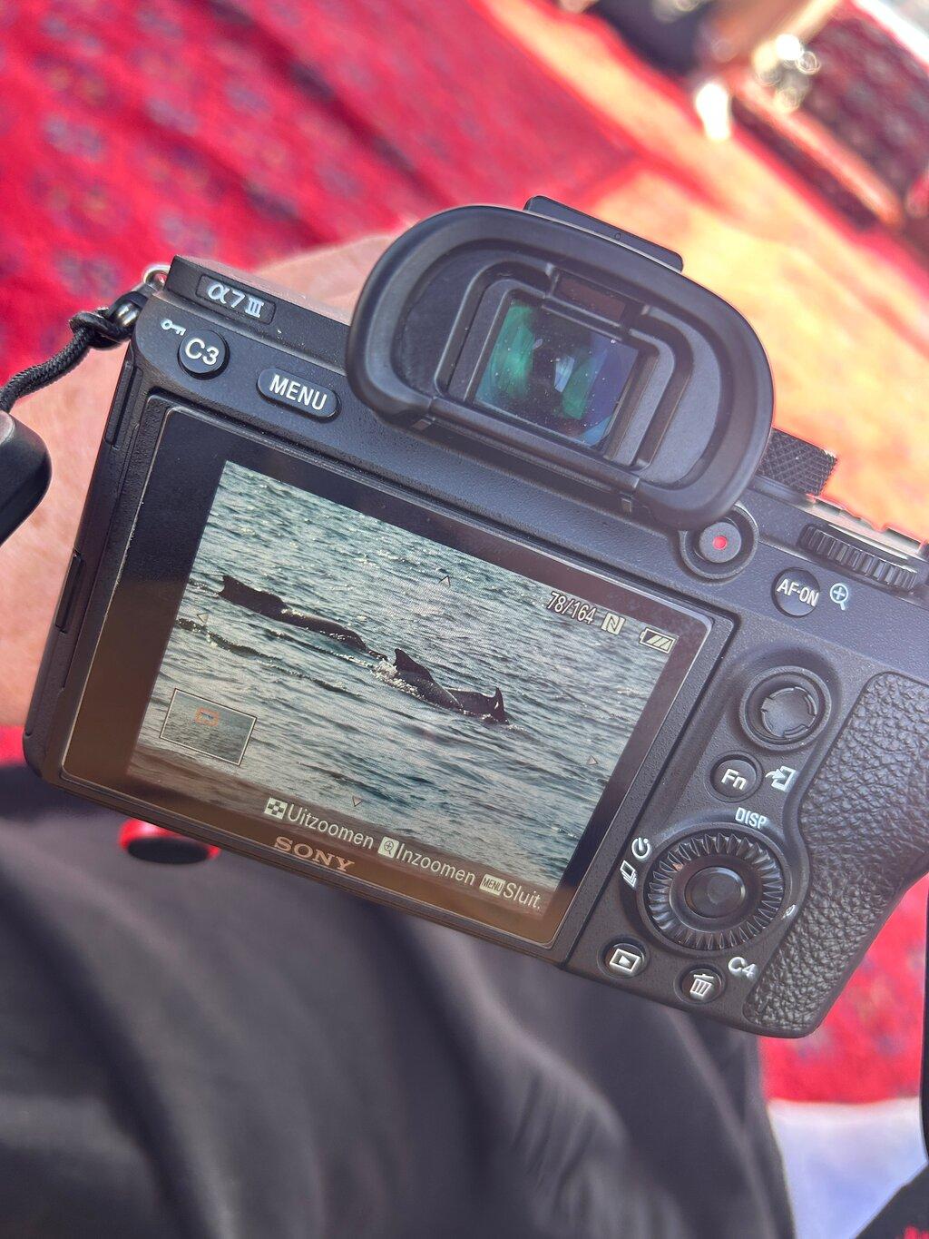 Review photo
