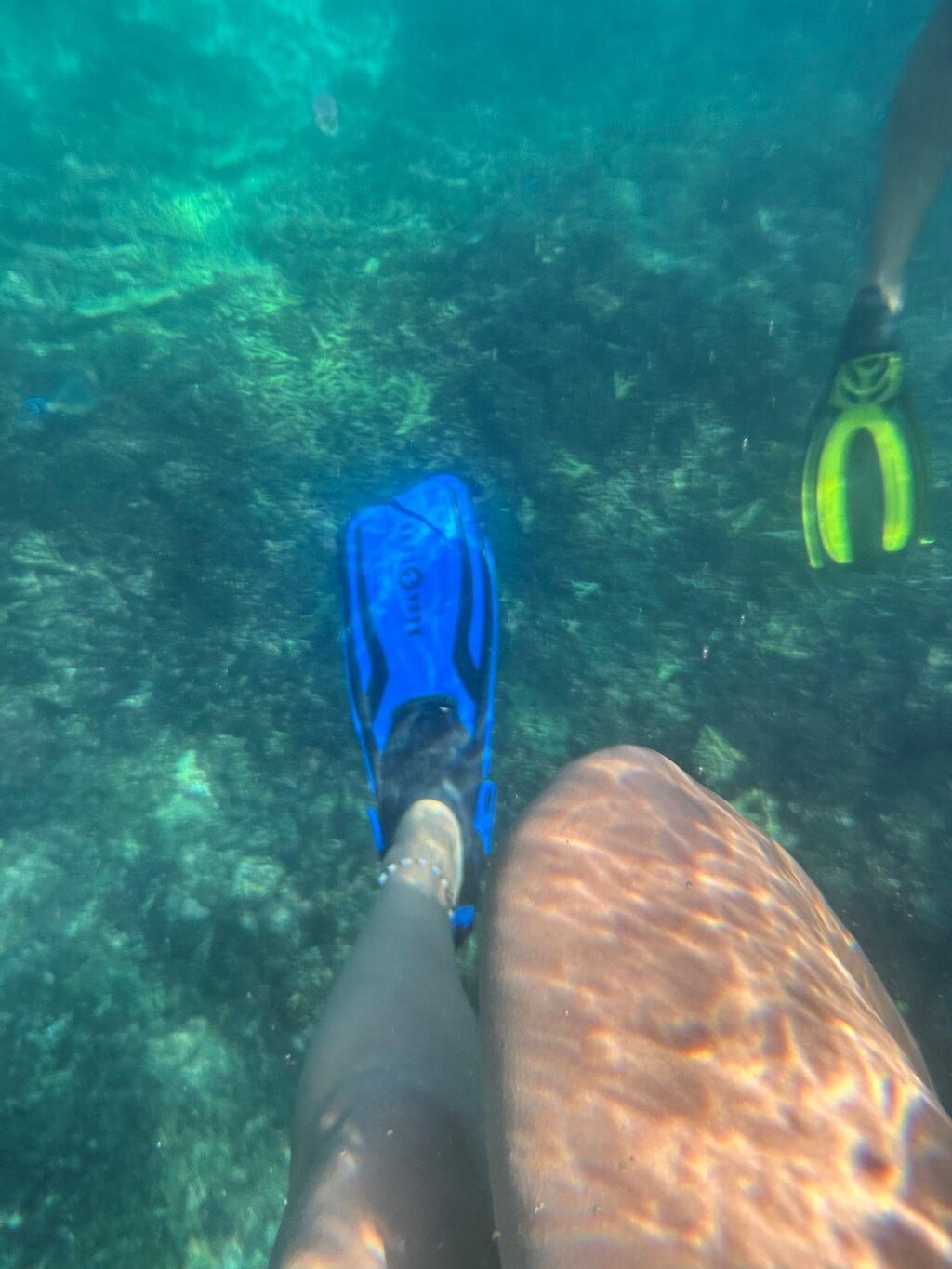 Review photo
