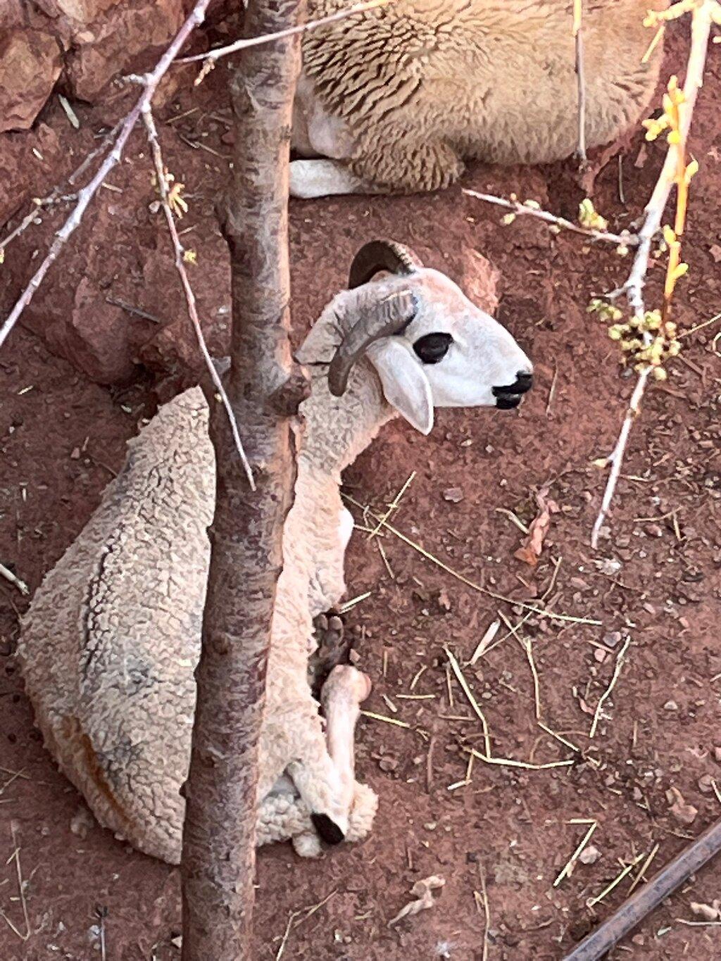 Review photo
