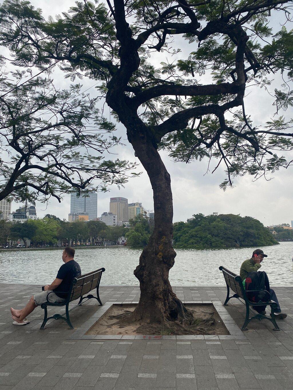 Review photo