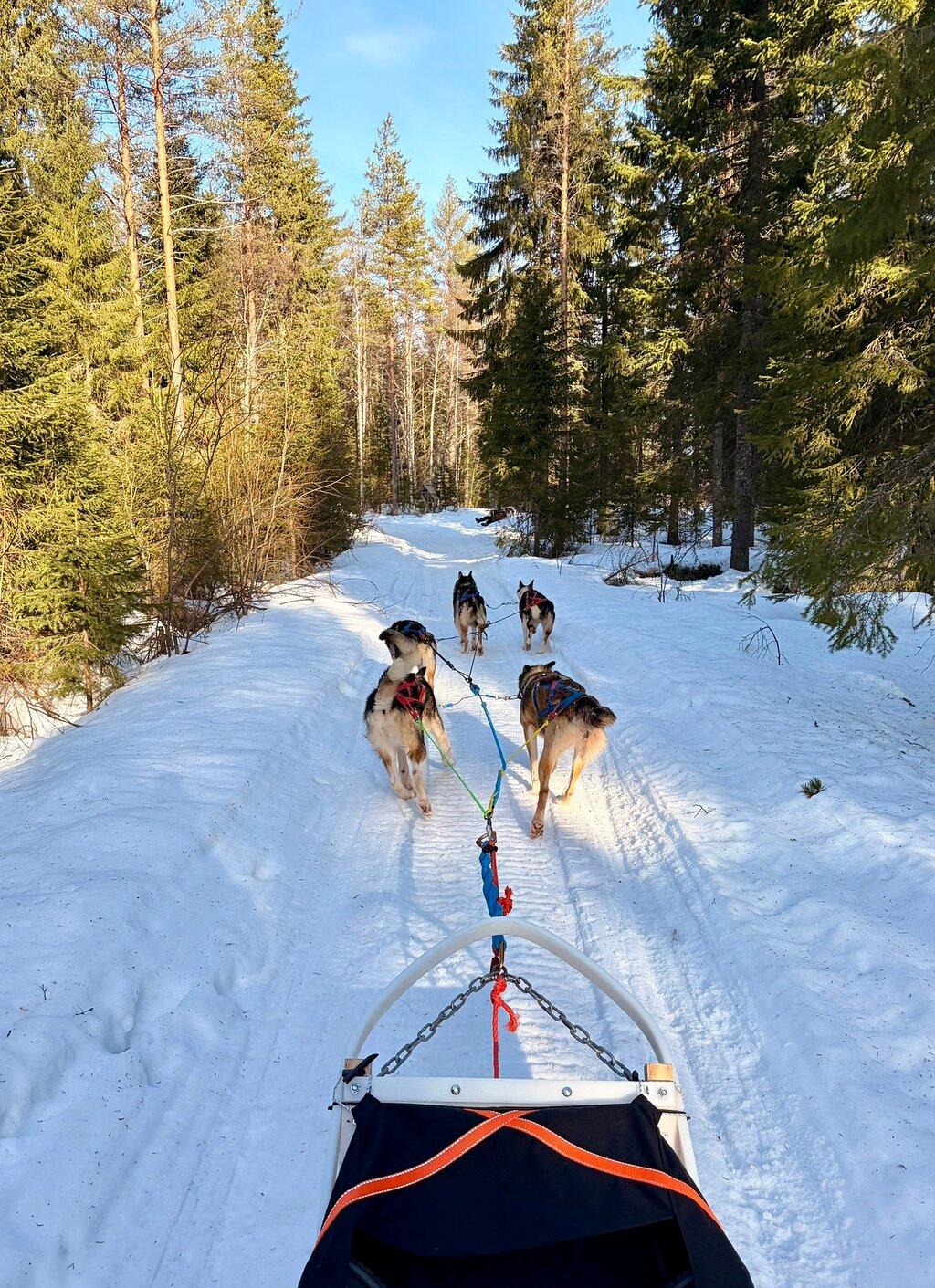 Review photo