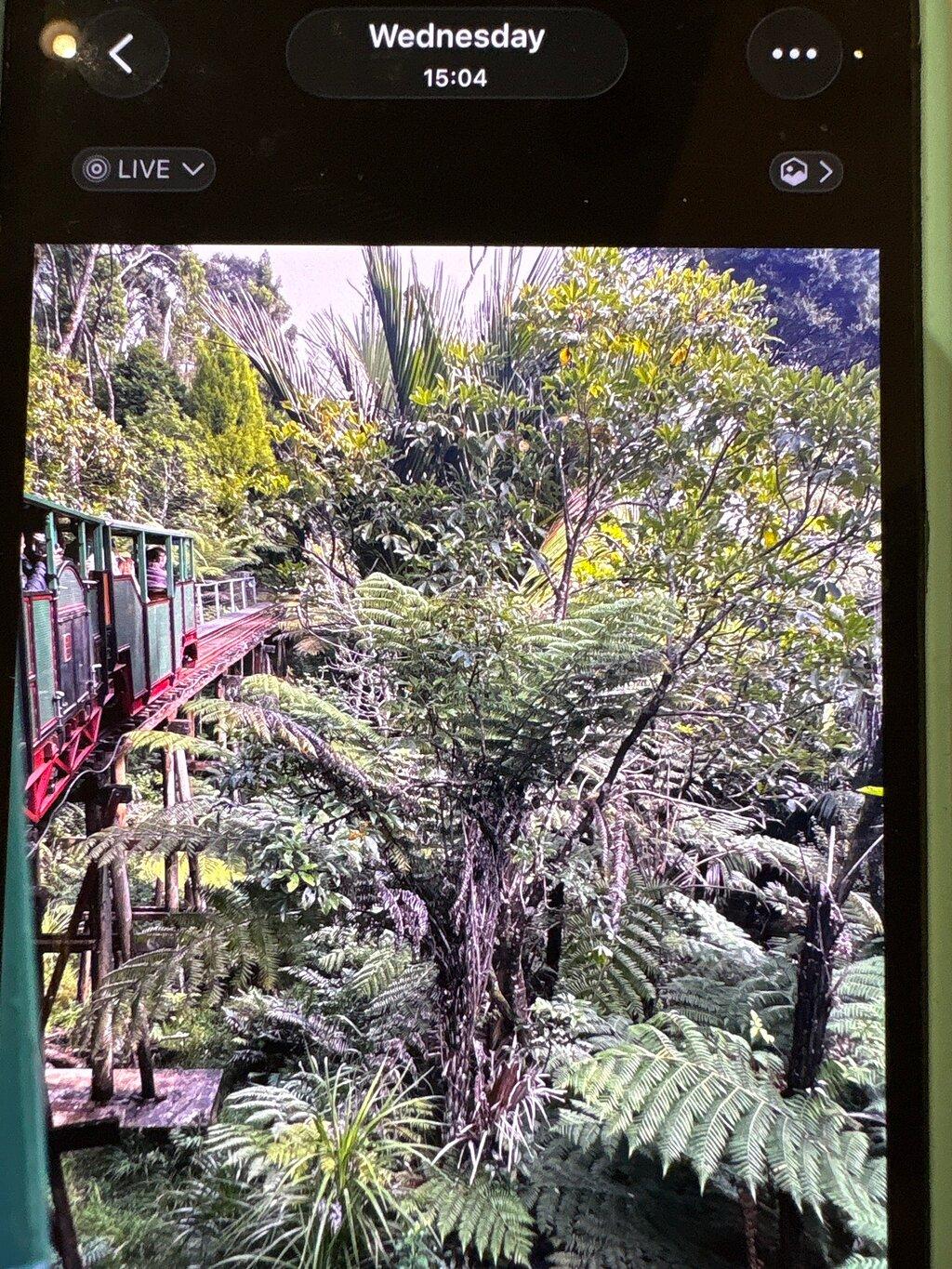 Review photo