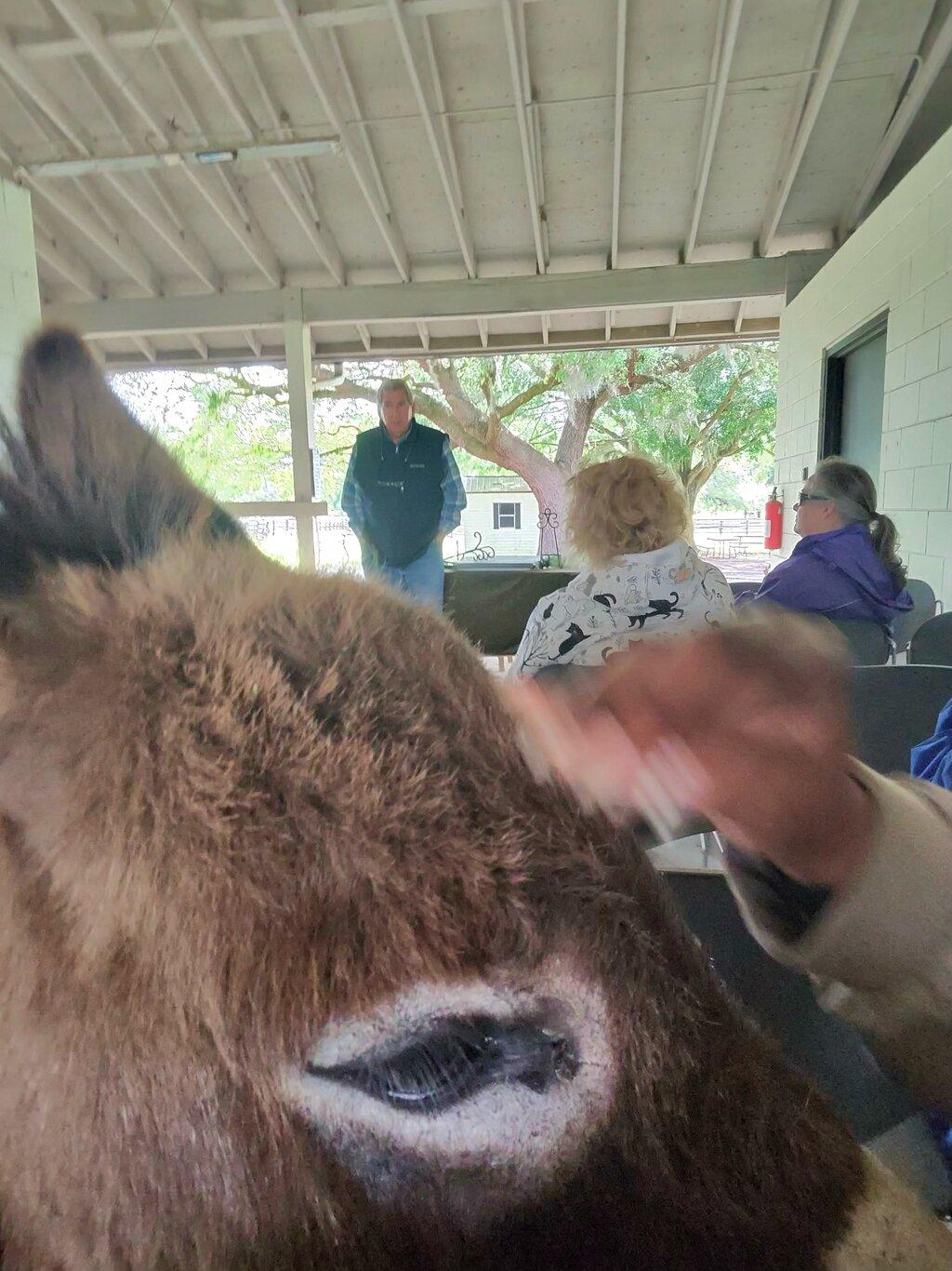 Review photo