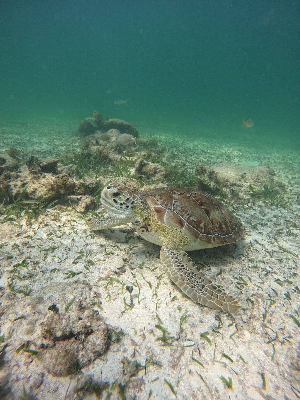 Review photo