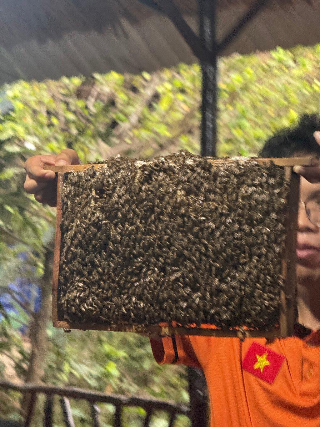 Review photo