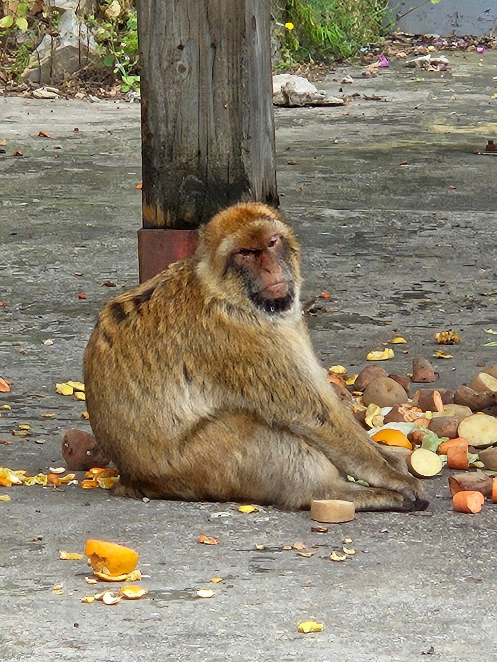 Review photo