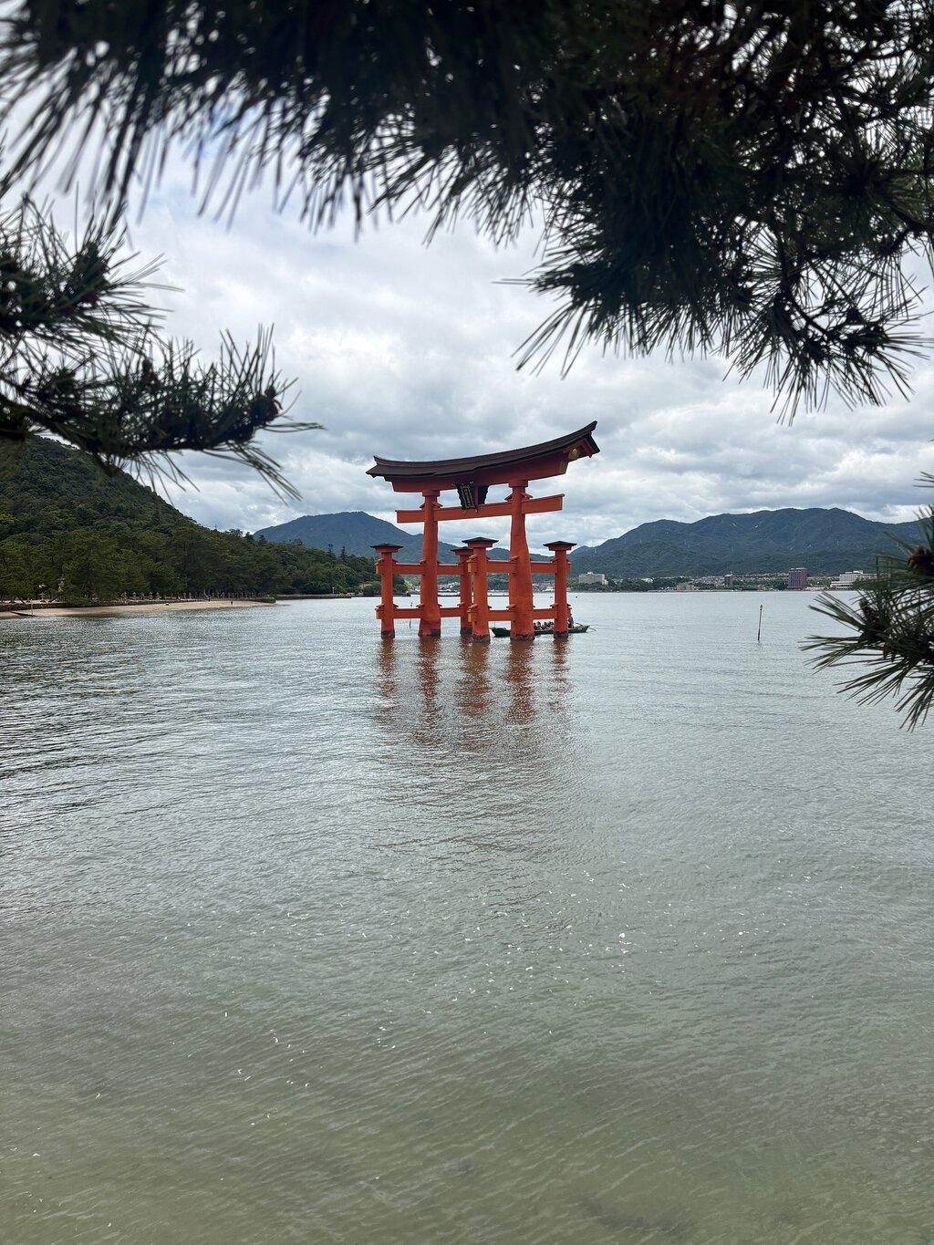Review photo