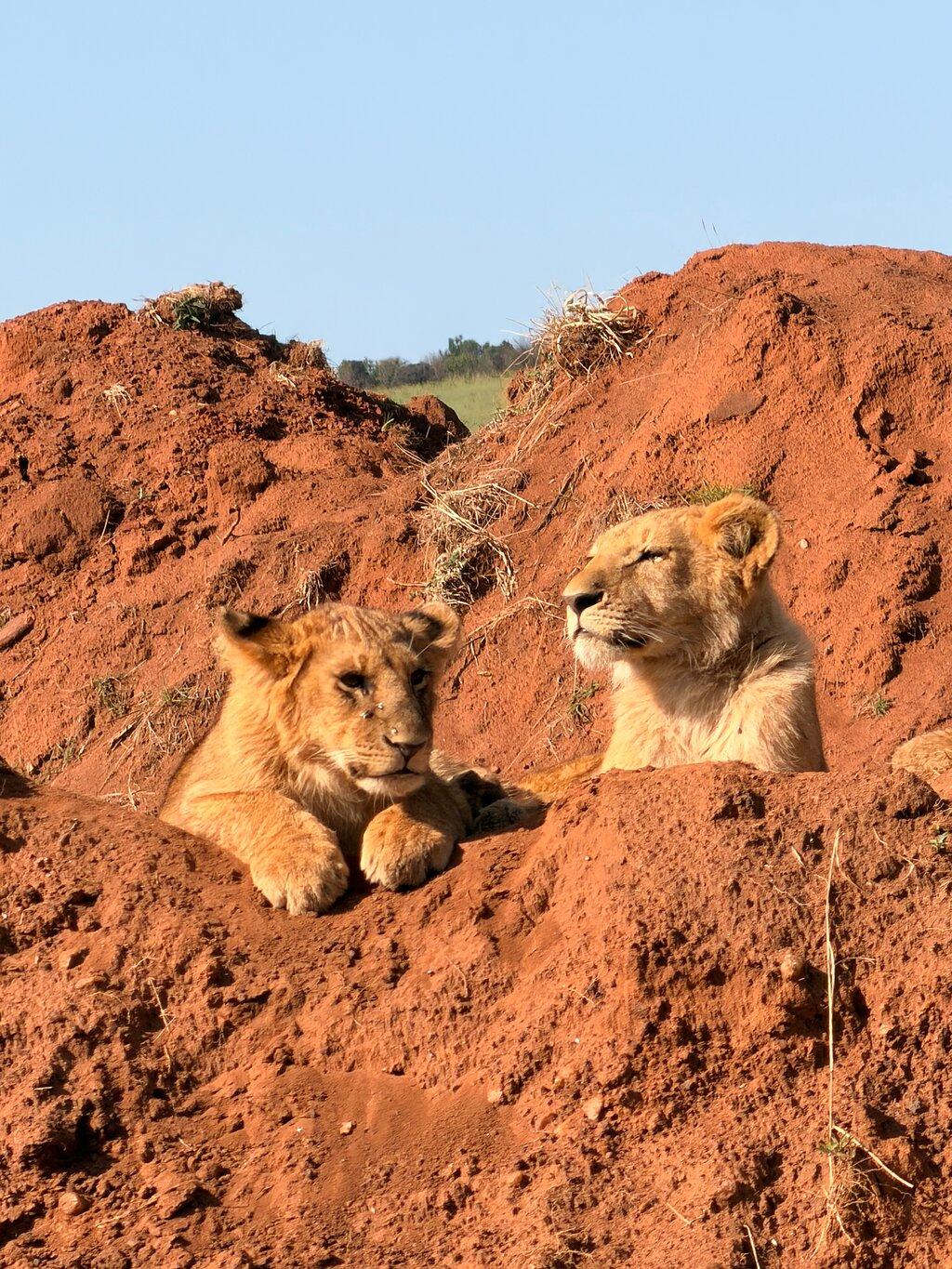 Review photo