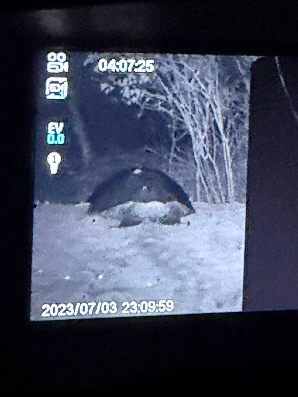 Review photo