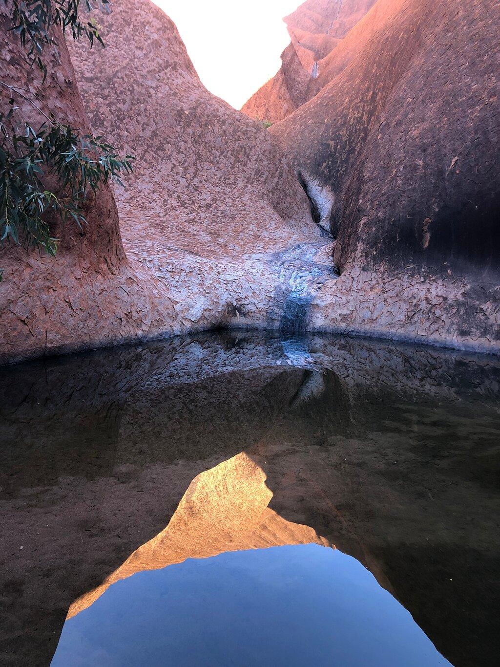Review photo