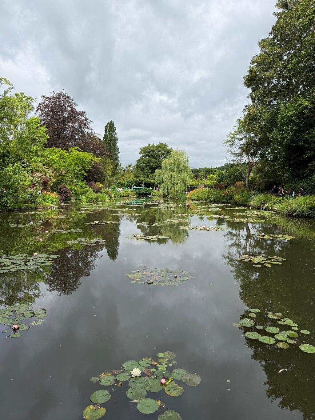 Review photo