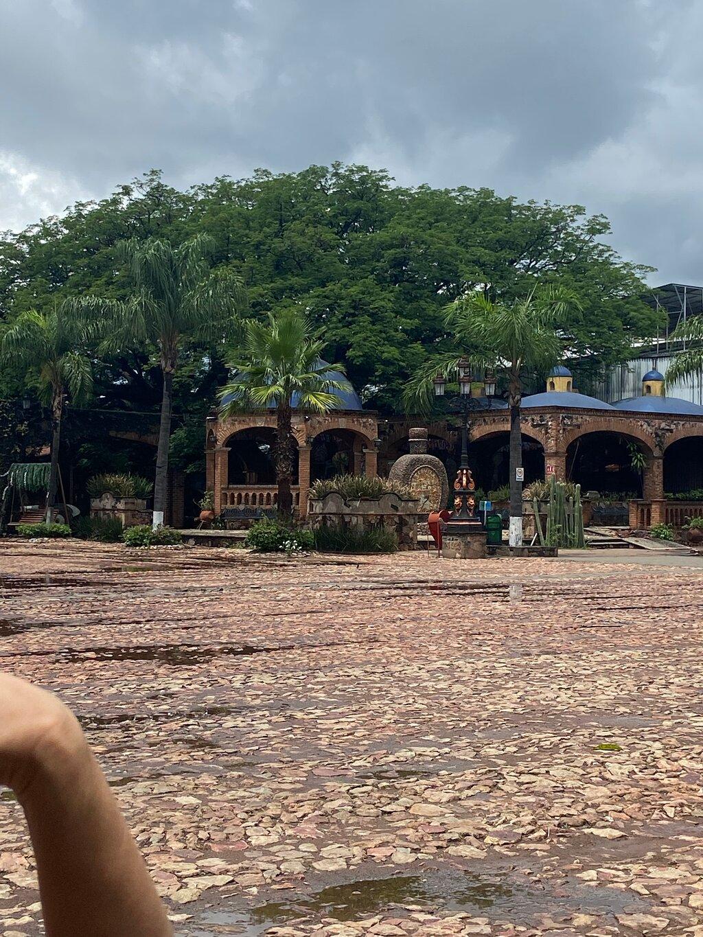 Review photo