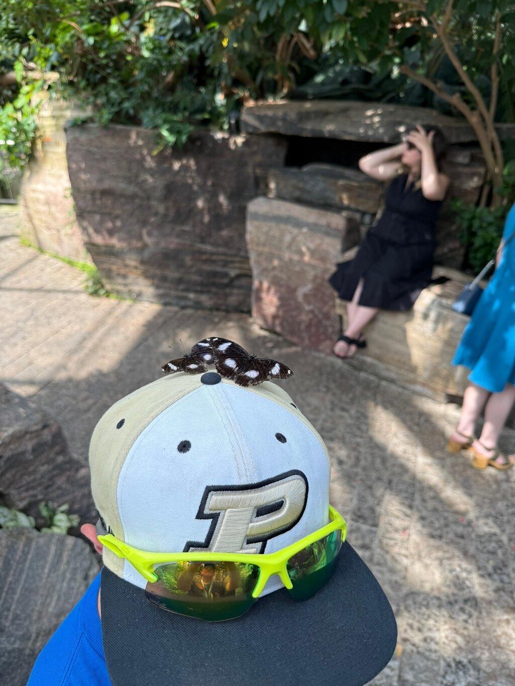 Review photo