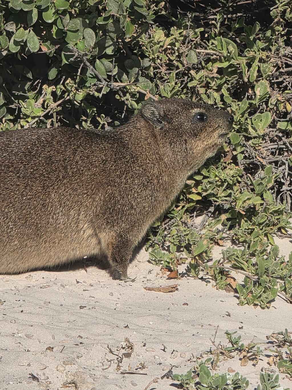 Review photo