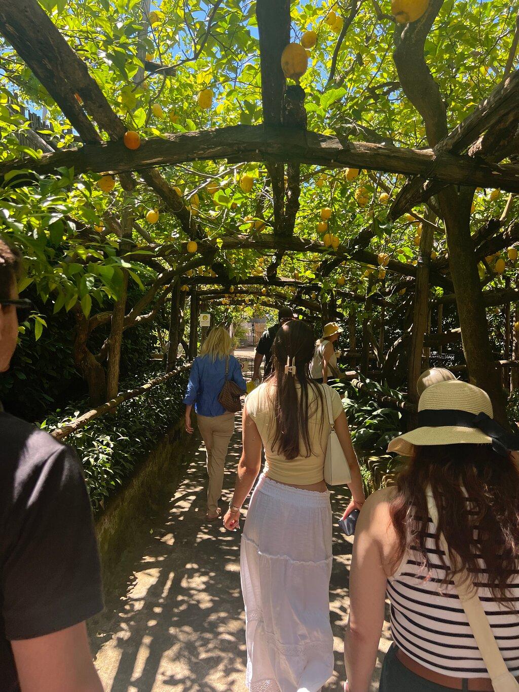 Review photo