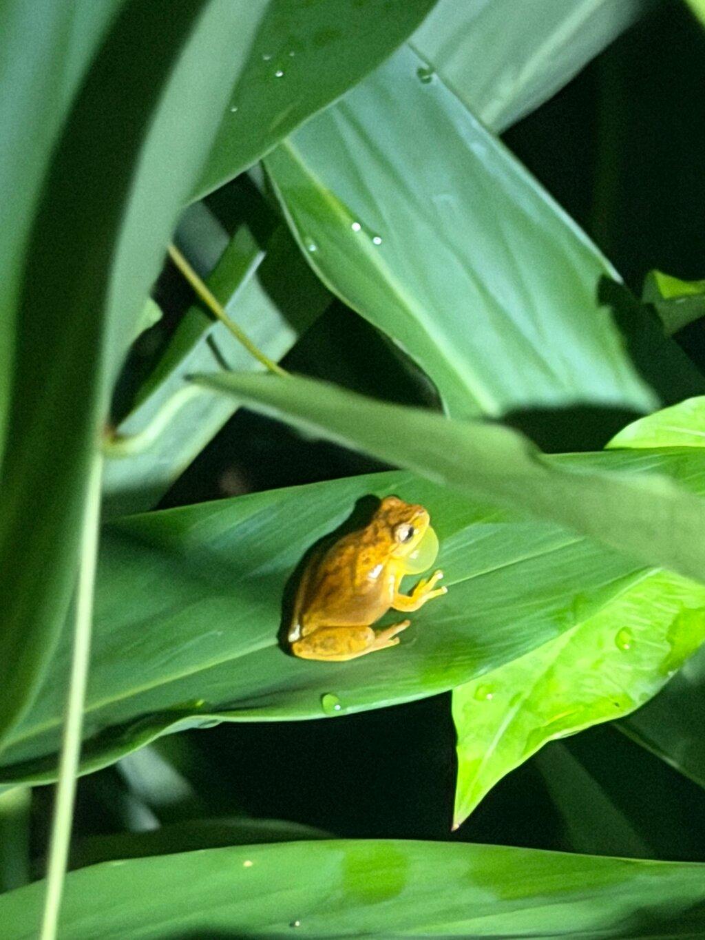 Review photo