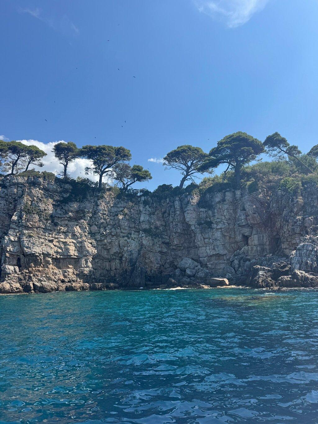 Review photo