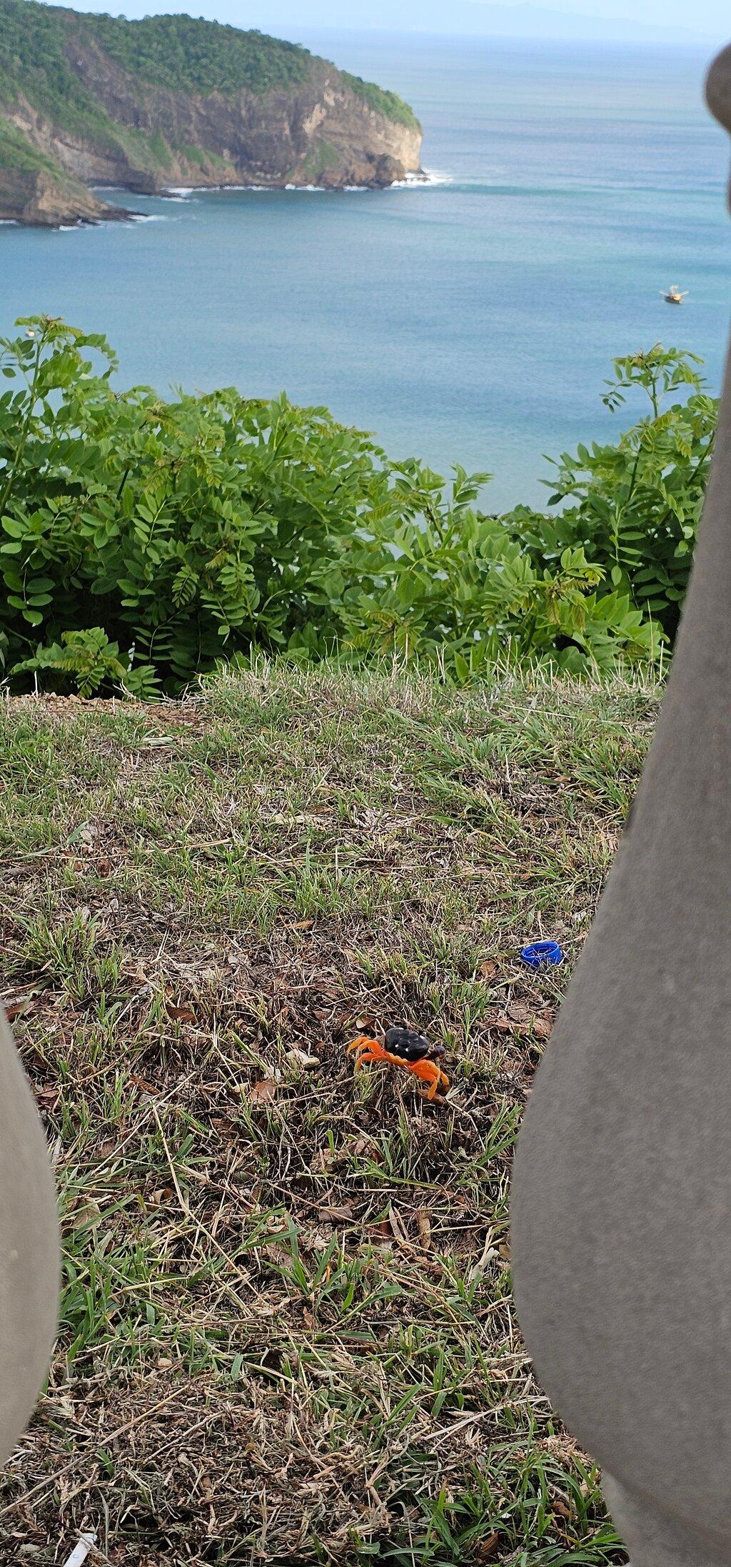 Review photo
