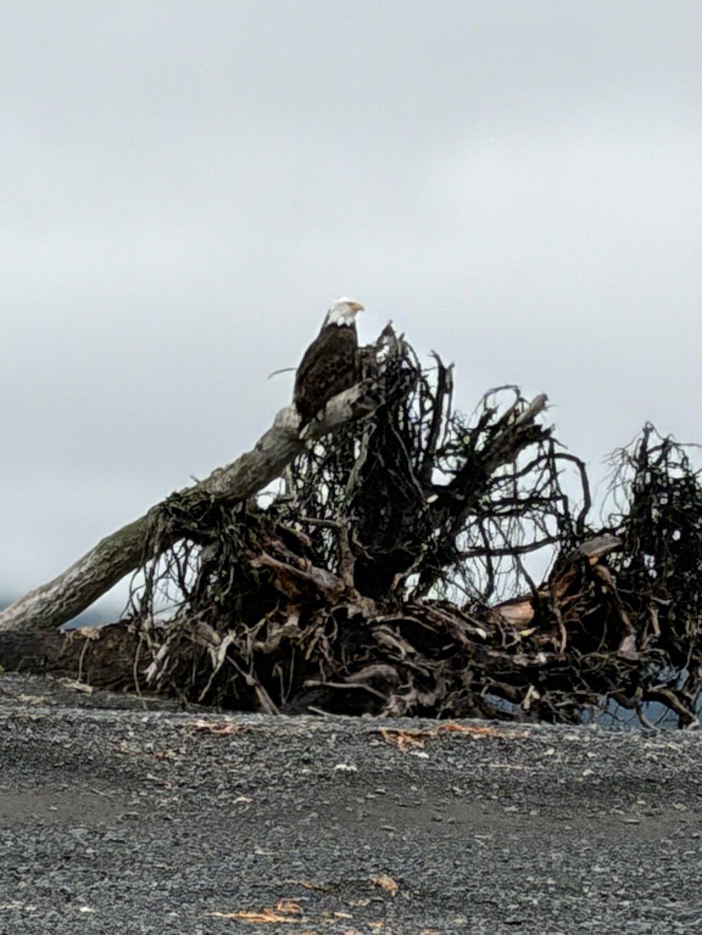 Review photo